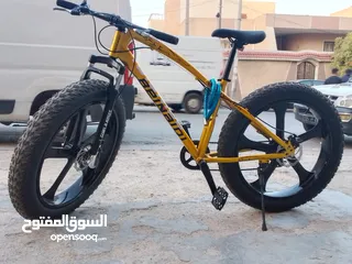  1 BEINAIQI SPORTS