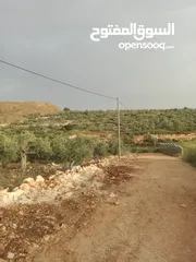  6 ارض للبيع منطقة جيوس قلقيلية