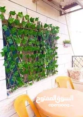  5 رول اخضر كثيف3 متر او قاطع خشبي  مع ورق شجر