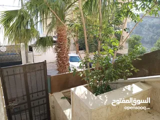  3 شقة أرضية للبيع