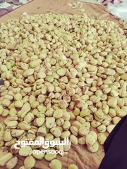  4 قورو /قيرو/جيرو في البحرين أسعار ممتازه