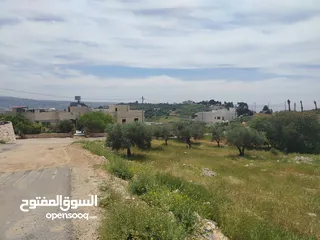  17 دنم مميز بطنا ع شارعين قرب شارع الستين الجديد