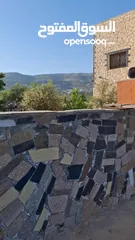  31 مزرعة وشاليه في جرش
