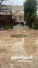  13 لاول مرة في الوطن العربي اذكى كلب في العالم