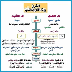  5 معلم لغة عربية للمتوسط والثانوي والجامعات خبرة 20 عام بالكويت