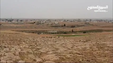  7 اراضي المفرق - للبيع 33 دونم في المفرق