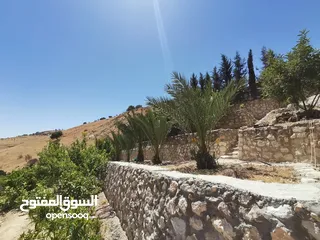  3 مزرعة مع فيلا ومسبح للبيع او البدل في فلل المسرة - العالوك