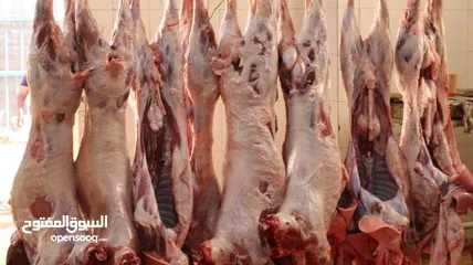  30 لحام متنقل ذبح أضاحي خاروف عجل بلدي جمل غنم بلدي روماني برزيلي كولمبي اسباني خروف بلدي جزار متنقل