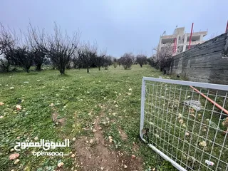  2 ارض بنص السعر للبيع المستعجل
