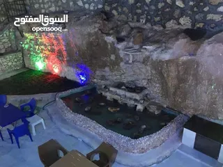 3 مزرعه الغسق للايجار في السلط بمنطقه مميزه بالقرب من شارع الستين