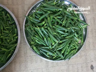  3 بامية خضراء اربد