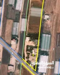  1 دنم ارض في دير ابو ضعيف