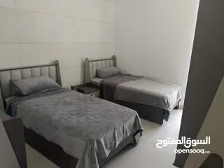  16 Furnished Apartment to Rent  ( Property 42214 )-174775235