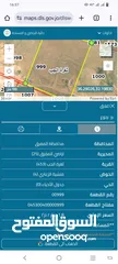  6 اراضي المفرق - للبيع 33 دونم في المفرق