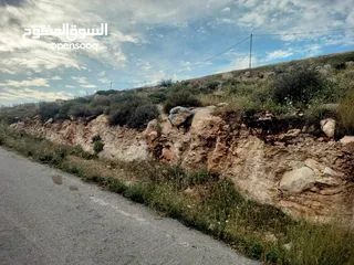  2 أرض عدة نمر للبيع بمساحات وأسعار مختلفة - بيت امرين - نابلس