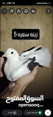  3 حمام للبيع