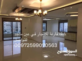 2 شقه فارغة للايجار في عين منجد