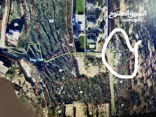  1 ارض طابو (أ) للبيع