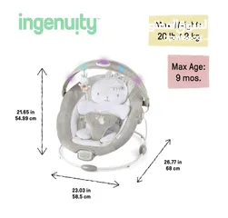  1 Ingenuity Baby Rocker with Sound and Lights