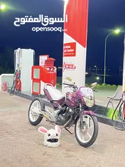  3 بتشيز 150cc