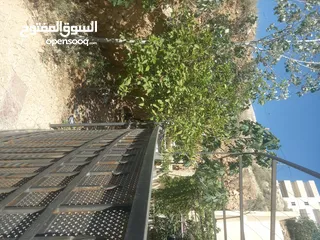  4 بيت طابق اول مع السطح للبيع من المالك مباشره ماركا الشماليه
