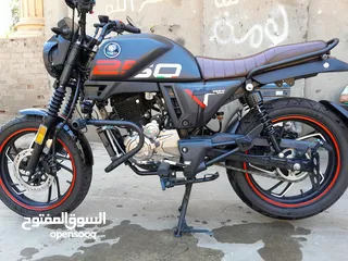  1 فيجيورى v250