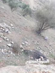  2 قطعة ارض للبيع