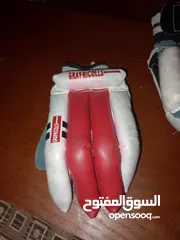  2 cricket batsman gloves of grey nicolls it is a pair