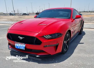  4 2021 GT Mustang