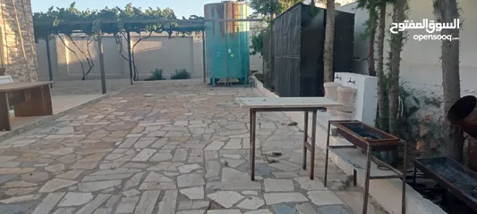  3 مزرعه للبيع في زي