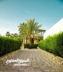  11 مزرعة وشاليه للايجار اليومي في البحر الميت -الجوفة