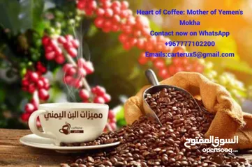  7 Yemen is one of the most renowned countries in the world for coffee cultivation, distinguished by it