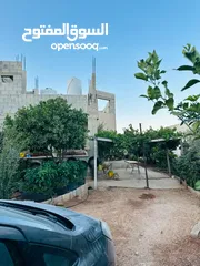  3 ابونعيم عمر