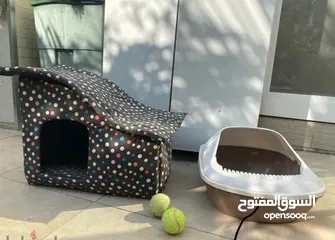  2 Cat playhouse + FREE litter box + FREE cat house