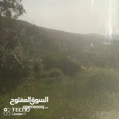  2 محمد فهمي مرعي