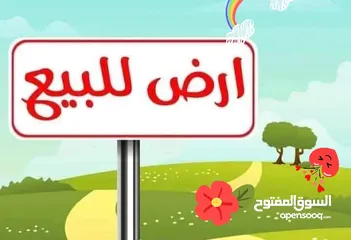  2 سفاري اريحا