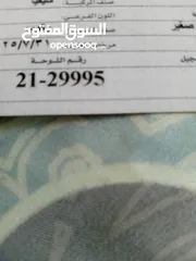  1 نمره سياره للبيع بسعر مغري شامل التنازل