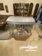  1 حوض سمك حجم وسط للبيع