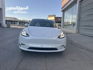 11 TESAL MODEL Y LONG RANGE DUILMOTOR 2023