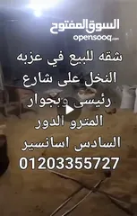  4 شقه للبيع بعزبه النخل