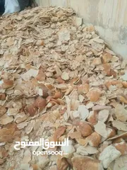  1 خبز ناشف نضيف