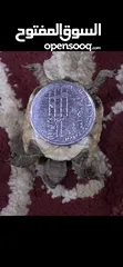  5 سلاحف بيبي وجمع الاحجام. تربيه مزرعه صحه ونظافه top.  يوجد سلاحف ازواج. موسم تكاثرهم.