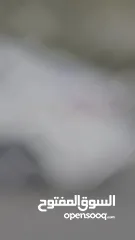  23 كيا K3 2017 ديزل