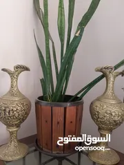  12 قواوير ميناوي للزراعة شغل يدوي بلاستيك ملبس خشب سويد مثبت ببراغي