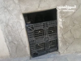 6 مخزن للايجار