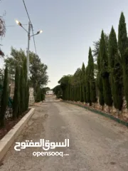  6 ارض للبيع في الأردن - عجلون