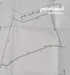  1 قطعه ارض البريضعه
