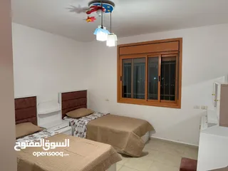  26 شقة مفروشة في المصيون