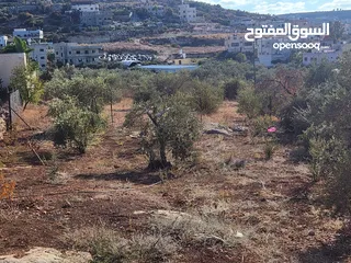  2 وعرة الشايب/عتيل