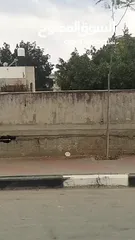  12 بسكليت كهرباء للبيع في نابلس طحنن نااار